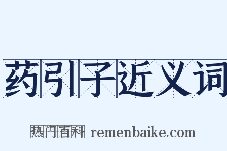 药引子近义词是什么意思的图片